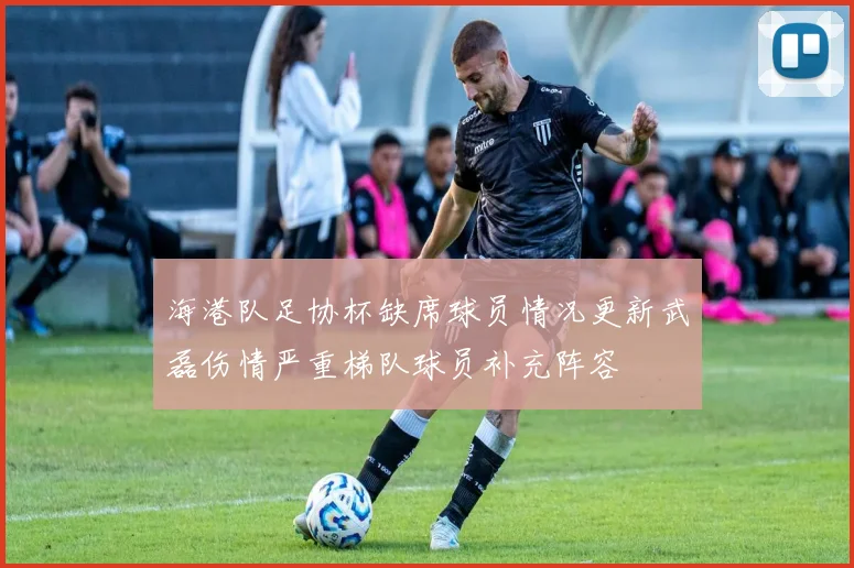 海港队足协杯缺席球员情况更新武磊伤情严重梯队球员补充阵容