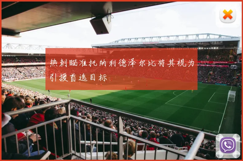 热刺瞄准托纳利德泽尔比将其视为引援首选目标